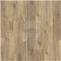 Nashville Oak 88299 Roots Moduleo