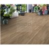 English Walnut 20226 Roots Moduleo