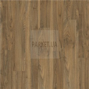 English Walnut 20565 Roots Moduleo