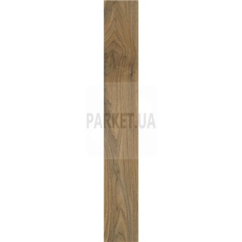 English Walnut 20565 Roots Moduleo