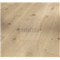 SPC  Imperial Oak Pure 1744826 TrendTime8 Parador