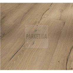 SPC Oak Cambridge natural 1748848 TrendTime8 Parador