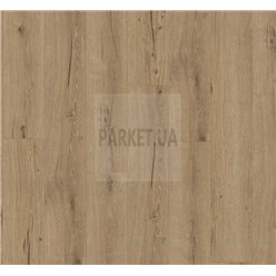 SPC Oak Cambridge natural 1748848 TrendTime8 Parador