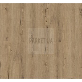 SPC Oak Cambridge natural 1748848 TrendTime8 Parador