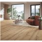 SPC Oak Cambridge natural 1748848 TrendTime8 Parador