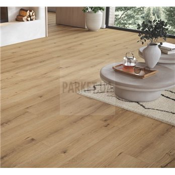 SPC Oak Cambridge natural 1748848 TrendTime8 Parador