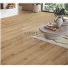 SPC Oak Cambridge natural 1748848 TrendTime8 Parador