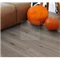 SPC  Imperial Oak lightgrey 1744828 TrendTime8 Parador