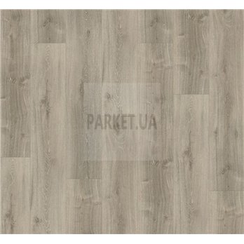 SPC  Oak grey whitewash 1743001 Basic 5.3 Parador