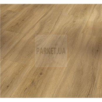 SPC Oak Sierra natural 1743007 Basic 5.3 Parador