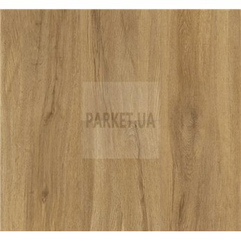 SPC Oak Sierra natural 1743007 Basic 5.3 Parador