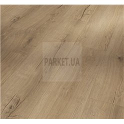 SPC Oak Cambridge natural 1748825 Basic 5.3 Parador