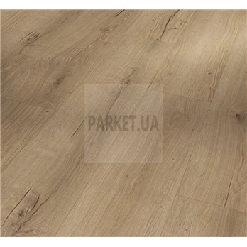 SPC Oak Cambridge natural 1748825 Basic 5.3 Parador