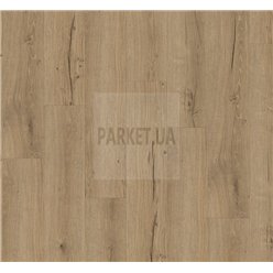 SPC Oak Cambridge natural 1748825 Basic 5.3 Parador