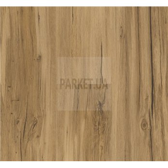 SPC Oak Memory natural 1743003 Basic 5.3 Parador