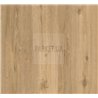 SPC Oak natural 1743004  Basic 5.3 Parador