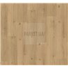 SPC Oak Infinity natural 1744607 Basic 5.3 Parador