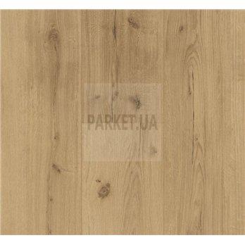 SPC Oak Infinity natural 1744607 Basic 5.3 Parador