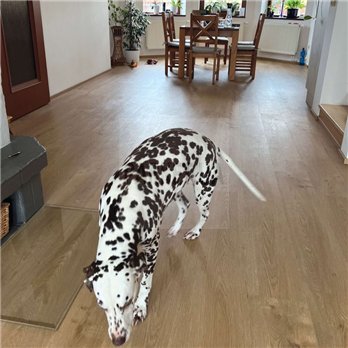 SPC Mountain 9574 Sepia Oak Rigid Click Corkart
