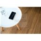 SPC Honey Charm Ash 9952 Vinyl 2Go Rigid Click Corkart
