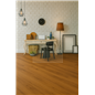 SPC Honey Charm Ash 9952 Vinyl 2Go Rigid Click Corkart