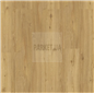SPC Gold Summer Oak 9505 Vinyl 2Go Rigid Click Corkart
