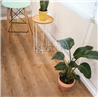 SPC Coconut Aged Pine 9926 Vinyl 2Go Rigid Click Corkart