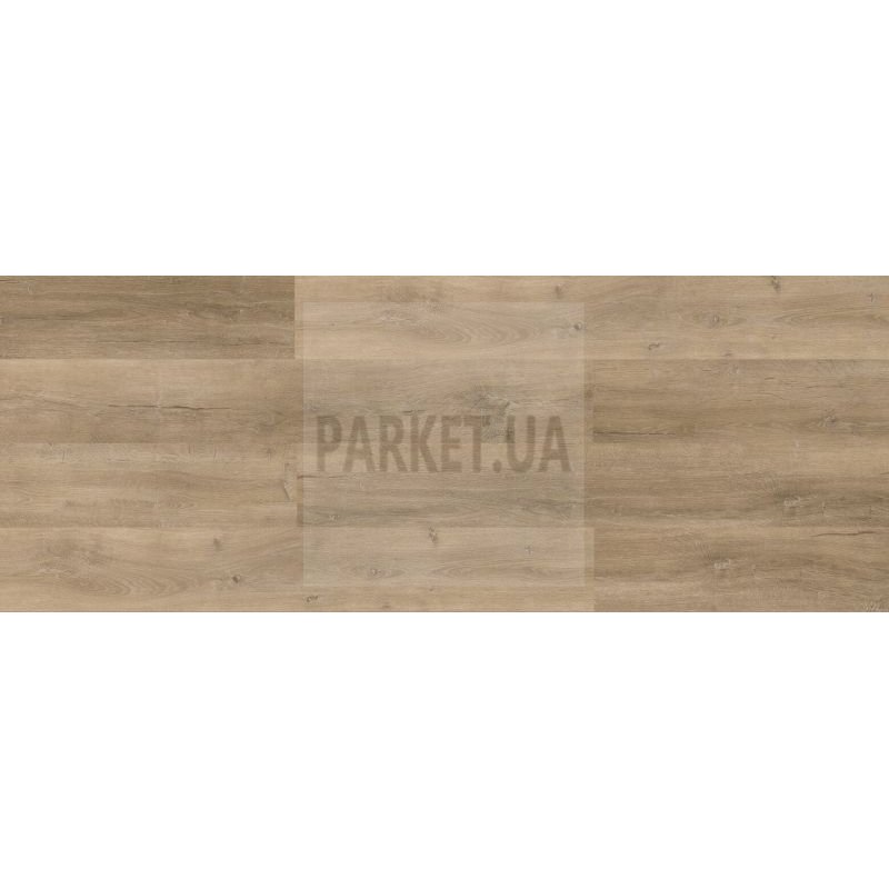 SPC 1304 Bonega  Fortica Viva ADO