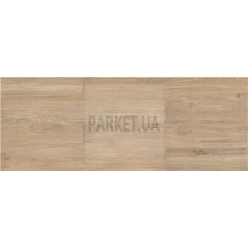 SPC 1512 Paco Fortica Viva ADO