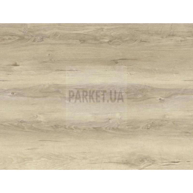 SPC 001981 Дуб Альпийский StoneX