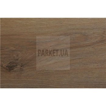 SPC 116309 Дуб Браун StoneX