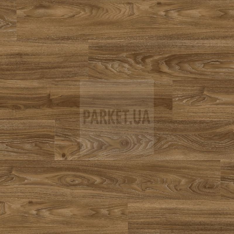 SPC 084237 Дуб Бурштиновий StoneX