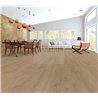 Ламінат Harmony Oak Nature 51322  Kronotex Amazone