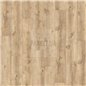 Major Oak 24279 Rigid Click Prisma Acoustic