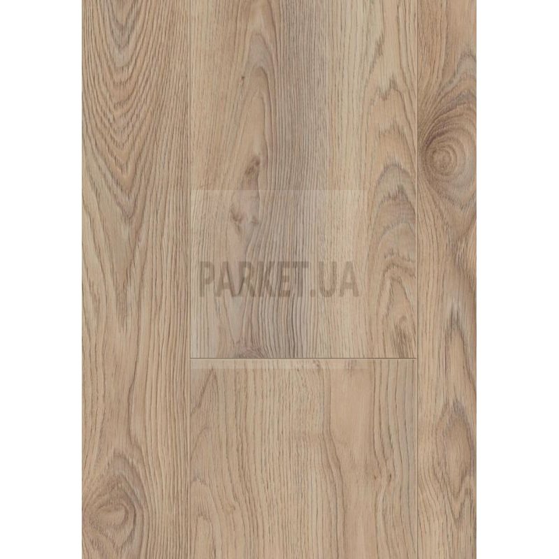 Makro Eiche Beige 3669 Mammut Plus Kronotex