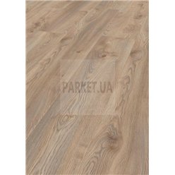 Makro Eiche Beige 3669 Mammut Plus Kronotex