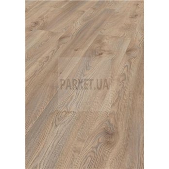Makro Eiche Beige 3669 Mammut Plus Kronotex