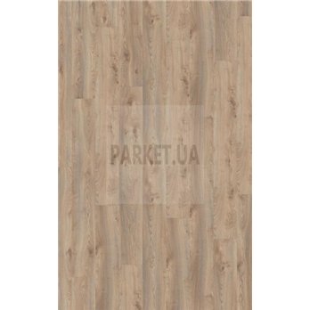 Makro Eiche Beige 3669 Mammut Plus Kronotex