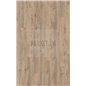 Makro Eiche Beige 3669 Mammut Plus Kronotex