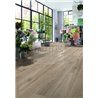 Makro Eiche Beige 3669 Mammut Plus Kronotex