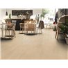 Elegance Oak Beige 81142 Mammut Plus Kronotex