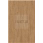 Elegance Oak Nature 81132 Mammut Plus Kronotex