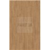 Elegance Oak Nature 81132 Mammut Plus Kronotex