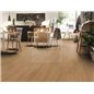 Elegance Oak Nature 81132 Mammut Plus Kronotex