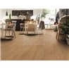 Elegance Oak Nature 81132 Mammut Plus Kronotex