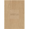 Elegance Oak Creme 81162 Mammut Plus Kronotex