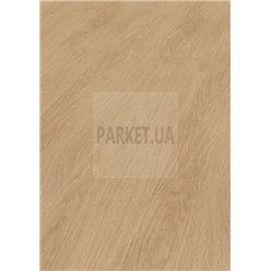 Elegance Oak Creme 81162 Mammut Plus Kronotex