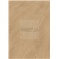 Elegance Oak Creme 81162 Mammut Plus Kronotex