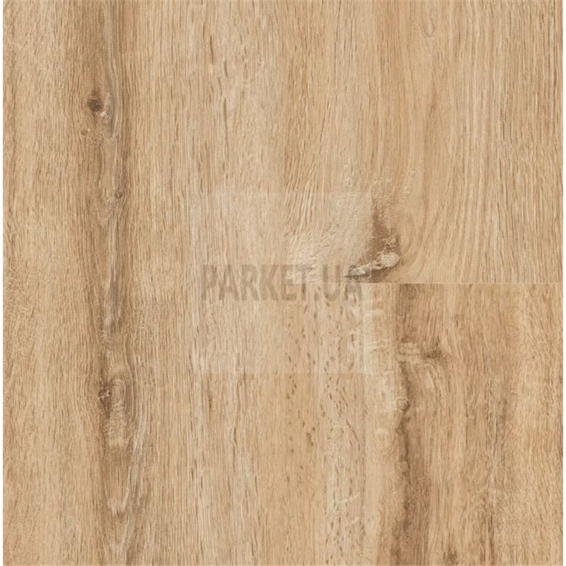 SPC Vail Oak P1003 Wood  Falquon