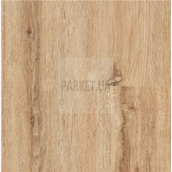 SPC Vail Oak P1003 Wood  Falquon